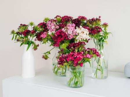 Flower Arranging Basics: A Beginner's Guide