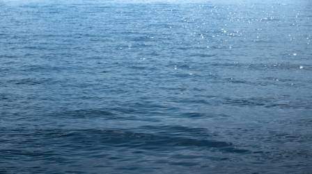 Through the Looking-Glass of the Sea Surface