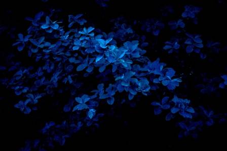 7 relaxing colors and how they affect your mood! 