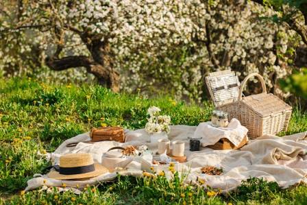 The Definitive Picnic Checklist: Pack Like a Pro for Any Outdoor Adventure