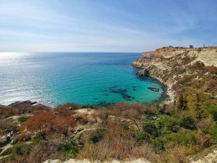 Explaining rocky shores