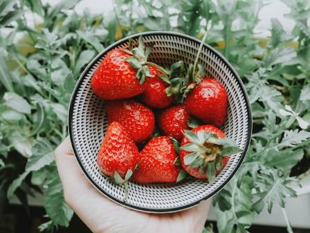 Are Strawberries Good for You?