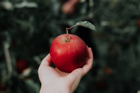 Reasons Why Apples Are Good for You