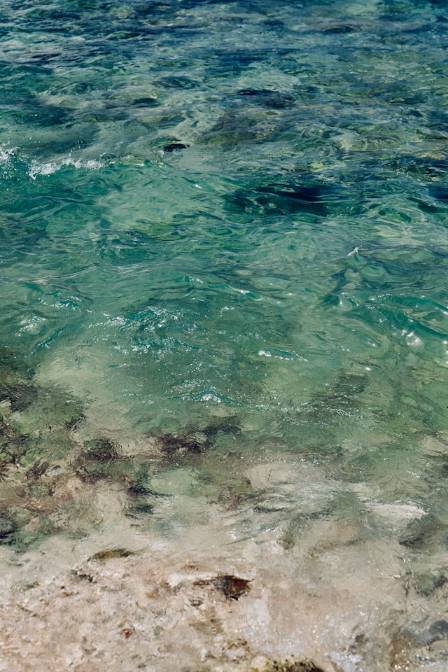 Mastering the Depths: A Comprehensive Guide to Underwater Art