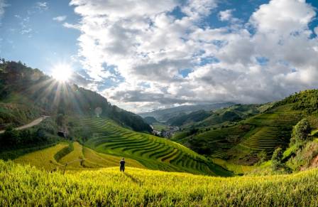 Terraced field, a masterpiece of the nature