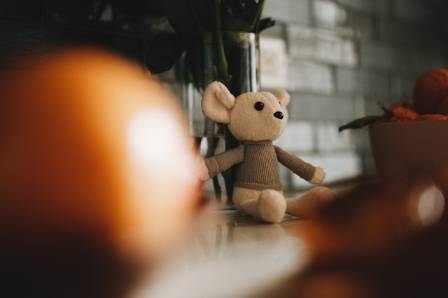 A Beginner's Guide to Creating Adorable Felt Animals