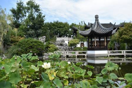 Impressions of Chinese Gardens