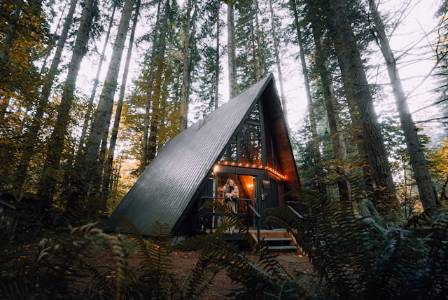 Top 8 Most Unique Forest Homes Around the World