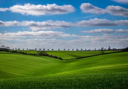 Nations Boasting the Most Stunning Agricultural Landscapes  